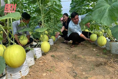 Hướng đến nền nông nghiệp xanh