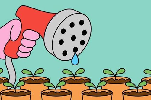 Lĩnh vực năng lượng xanh của Việt Nam có nhiều cơ hội thu hút đầu tư mạo hiểm