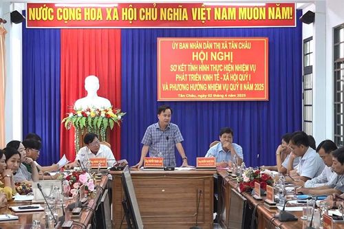 Tân Châu sơ kết thực hiện nhiệm vụ phát triển kinh tế - xã hội quý I năm 2025