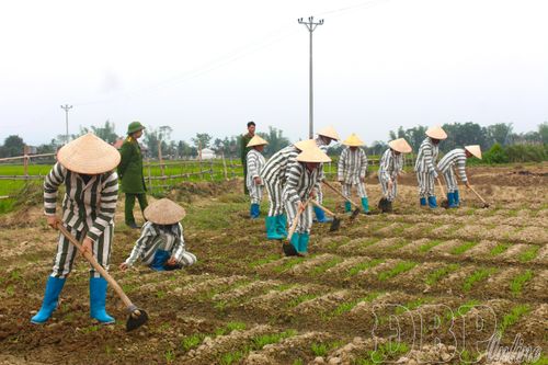 Thắp sáng ước mơ hoàn lương