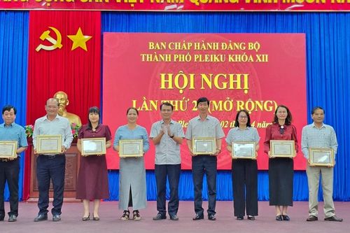 Pleiku: Tặng bằng khen cho 34 tập thể, cá nhân 'Hoàn thành xuất sắc nhiệm vụ' 5 năm liền