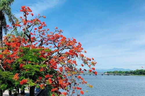 Nhiều địa phương thu nghìn tỷ từ du lịch trong quý I-2025