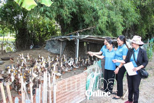 Quỹ Chăm sóc phát huy vai trò người cao tuổi mang lại hiệu quả cao