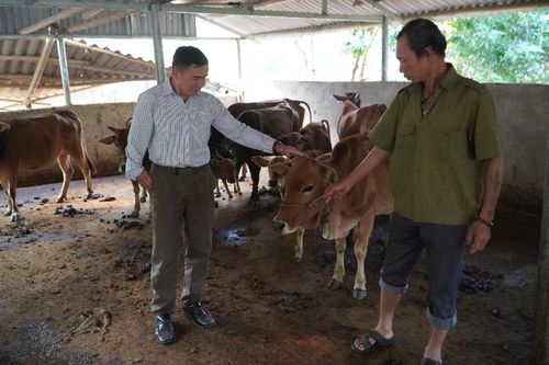 Bí thư chi bộ năng động, nhiệt tình