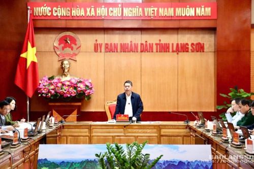 Họp Ban chỉ đạo phát triển điện lực tỉnh Lạng Sơn