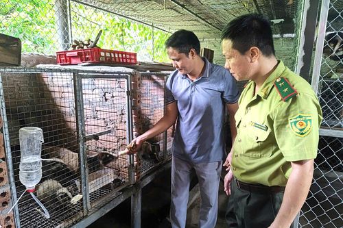 Đổi mới trong quản lý động vật hoang dã