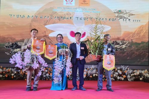 Trao giải hoa lan nghệ thuật toàn quốc lần thứ II