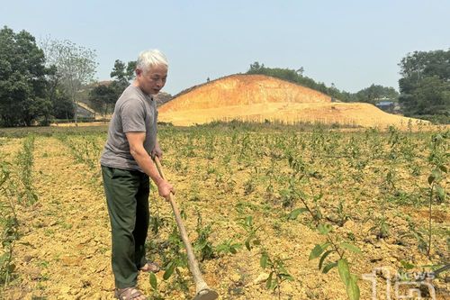 Nông dân Lục Ba 'không cho đất nghỉ'