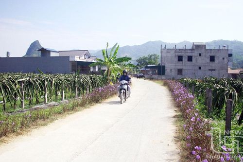 Võ Nhai có xã đạt chuẩn nông thôn mới kiểu mẫu đầu tiên