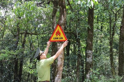 Cảnh báo nguy cơ cháy rừng cấp cực kỳ nguy hiểm ở nhiều khu vực