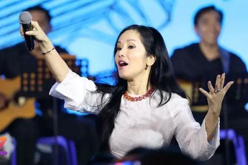 Nhạc Trịnh trong trái tim người thương