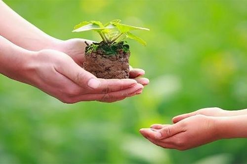 Cần dạy luật nhân quả cho học sinh ngay từ bậc tiểu học
