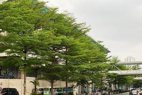 Hà Nội không mưa, trời nắng nhẹ