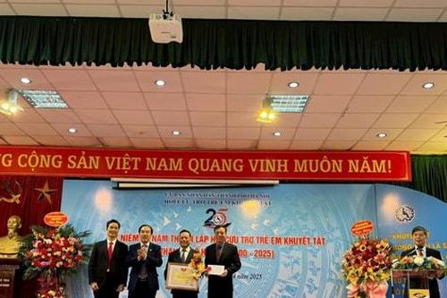 Vinh danh tập thể, cá nhân tiêu biểu hoạt động vì trẻ em khuyết tật