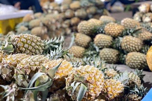 Loại quả nhiều vitamin C đang vào mùa giá chỉ 15.000 đồng/kg bán đầy vỉa hè