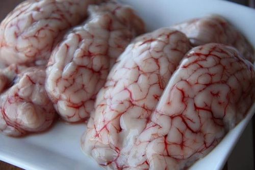 Ăn óc động vật và nguy cơ mắc căn bệnh chết người Prion