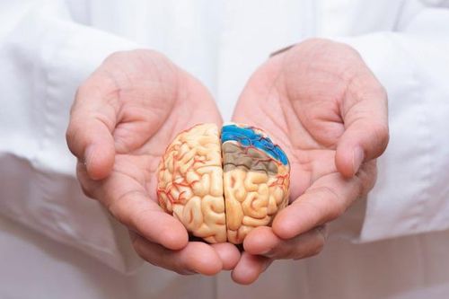Hiểm họa Prion: Nguy cơ từ thực phẩm bạn ăn mỗi ngày