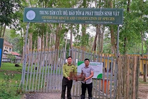 Khen thưởng người đàn ông bắt được động vật quý hiếm và báo chính quyền