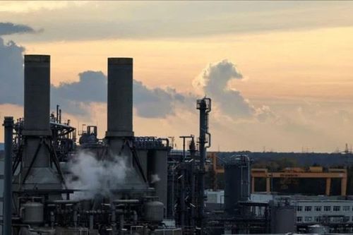 Chia sẻ kinh nghiệm về quản lý thị trường carbon