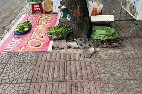 Vụ 'Lối đi người khiếm thị… đâm vào cây xanh, trụ điện': Sẽ điều chỉnh lại lối đi cho người khiếm thị