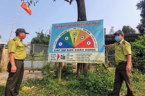 Kiểm lâm Phú Yên gặp nhiều khó khăn vì chưa có con dấu mới