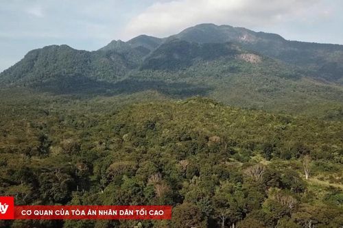 Kon Tum: 13.000 ha rừng không thể giao khoán cho cộng đồng bảo vệ