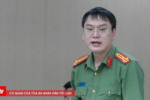 Khởi tố Chủ tịch Công ty cây xanh Công Minh