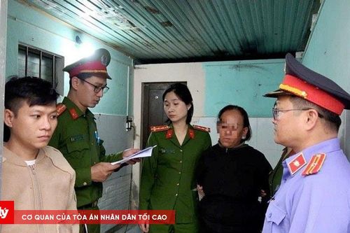 Vợ chồng 'hờ' làm giấy phép lái xe giả, lừa lấy tiền của nhiều người