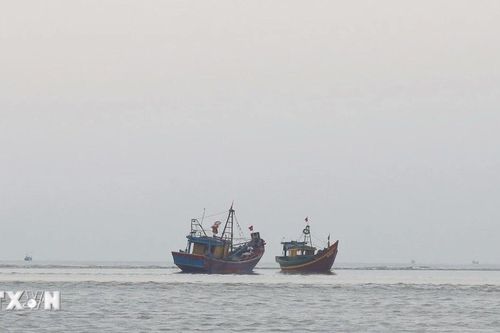Thủy triều xuống thấp bất thường, mực nước cửa biển Lạch Vạn cạn dòng
