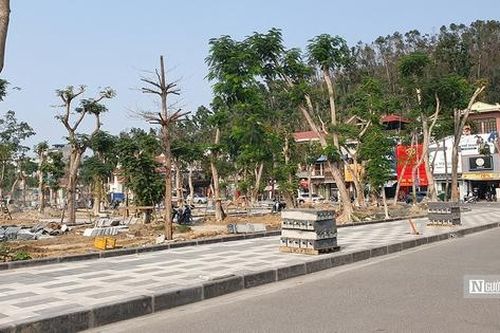 Hải Phòng: Tập trung hoàn thành giải phóng mặt bằng dự án vườn hoa 80 tỷ đồng