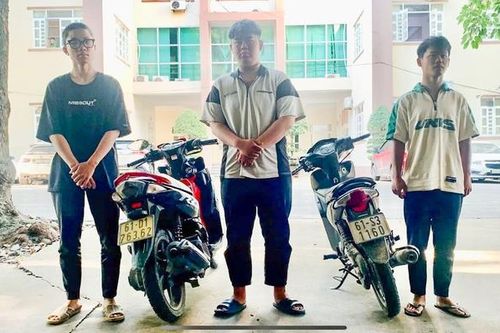 Đồng Nai: Triệt phá băng cướp táo tợn, chuyên nhắm vào phụ nữ và trẻ em