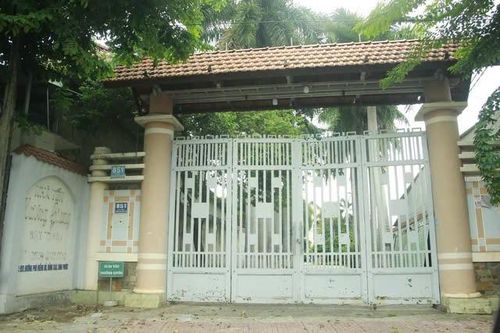 Khởi tố, truy nã Chủ tịch Công ty Cây xanh Công Minh