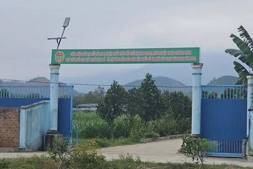 Bình Định: Dừng ngay các hoạt động không đúng mục tiêu dự án rau an toàn tại huyện Vân Canh
