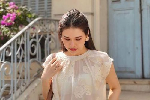 Tình cảnh của Phanh Lee sau khi bị móc ví ở nước ngoài