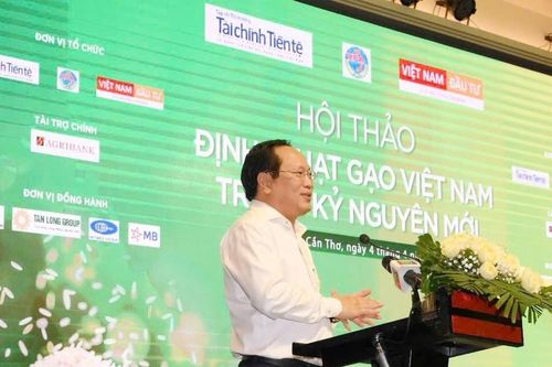 Nắn dòng tín dụng để đánh thức tiềm năng ngành lúa gạo