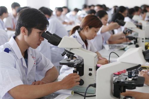 Giáo dục và lực lượng lao động: 'Chìa khóa' định hình tương lai FDI trong kỷ nguyên mới