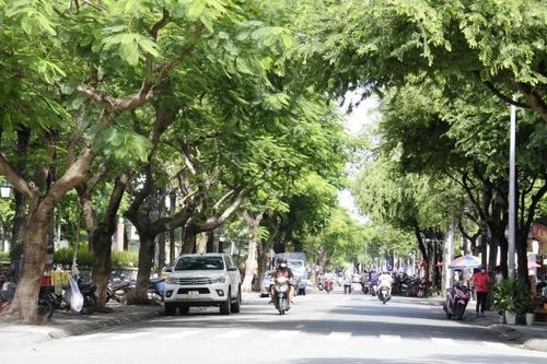 Dấu nhớ của màu xanh