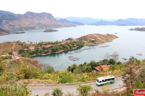 Dòng máu Lạc Hồng