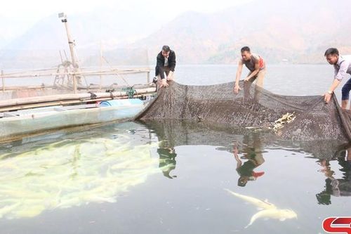Khởi sắc Mường Khiêng