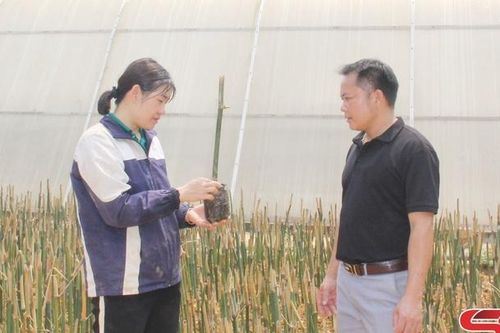 Xuân Nha xây dựng nông thôn mới