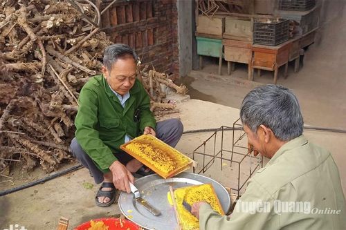 Mật ong Đông Lợi