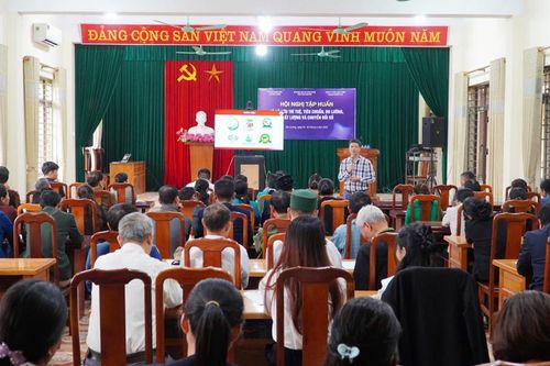 Bồi dưỡng kiến thức về sở hữu trí tuệ, chuyển đổi số