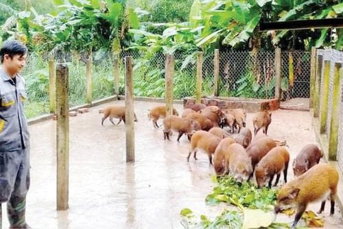 Cơ hội mới cho nông dân