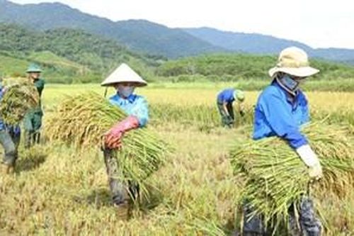 Đoàn Kinh tế - Quốc phòng 92: Nhiều mô hình tình nguyện hiệu quả