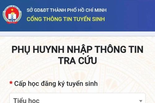 TP. Hồ Chí Minh: Phụ huynh có 9 ngày kiểm tra thông tin tuyển sinh lớp 1, lớp 6