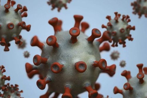 Bộ Y tế thông tin về virus gây bệnh 'lạ' tại Liên bang Nga