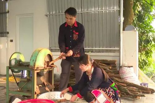 Thu nhập đồng bào dân tộc huyện Ba Vì tăng 20%