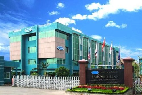 Lợi nhuận Gỗ Trường Thành (TTF) giảm 51% sau kiểm toán 2024, còn hơn 6 tỷ đồng