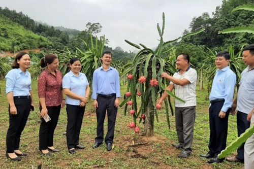 Thư kêu gọi quyên góp, ủng hộ xây dựng Quỹ 'Hỗ trợ nông dân' tỉnh năm 2025