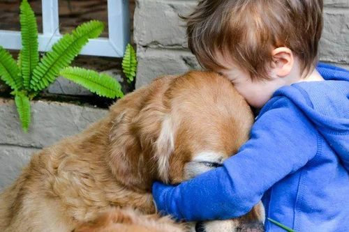 Chó sủa bất thường, gia chủ mở cửa sổ ra xem và thấy điều không ai ngờ